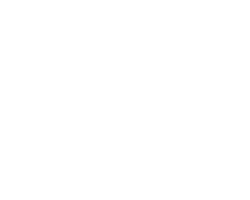 Nikon