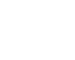 lanidor-00